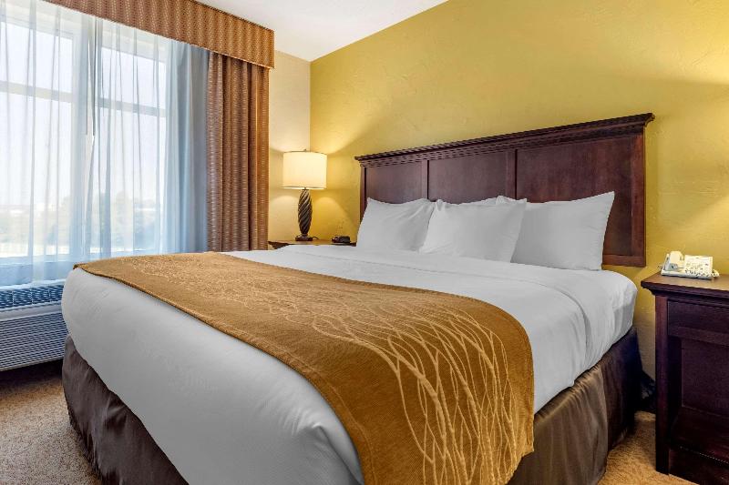 Comfort Inn Suites Dover image