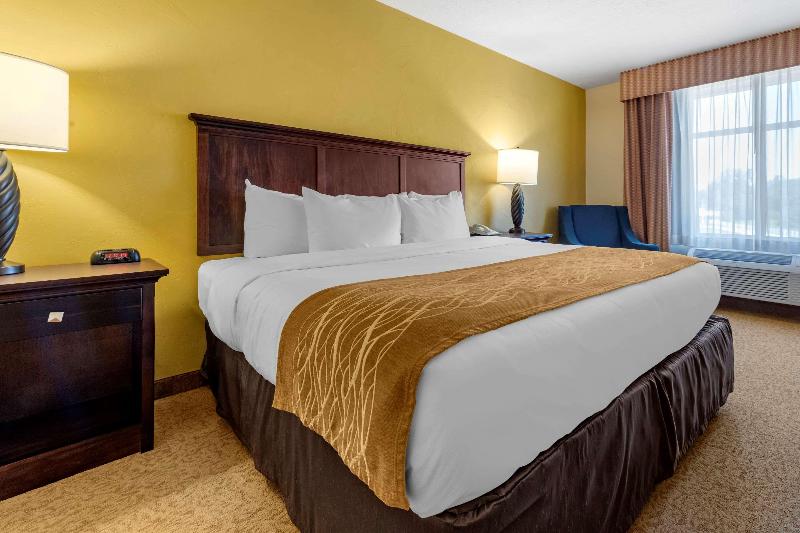 Comfort Inn Suites Dover image
