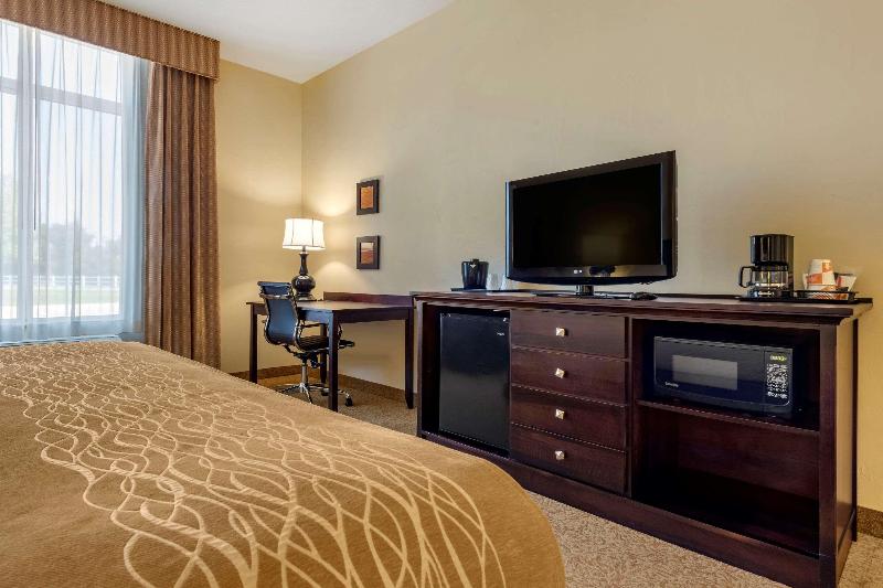 Comfort Inn Suites Dover image