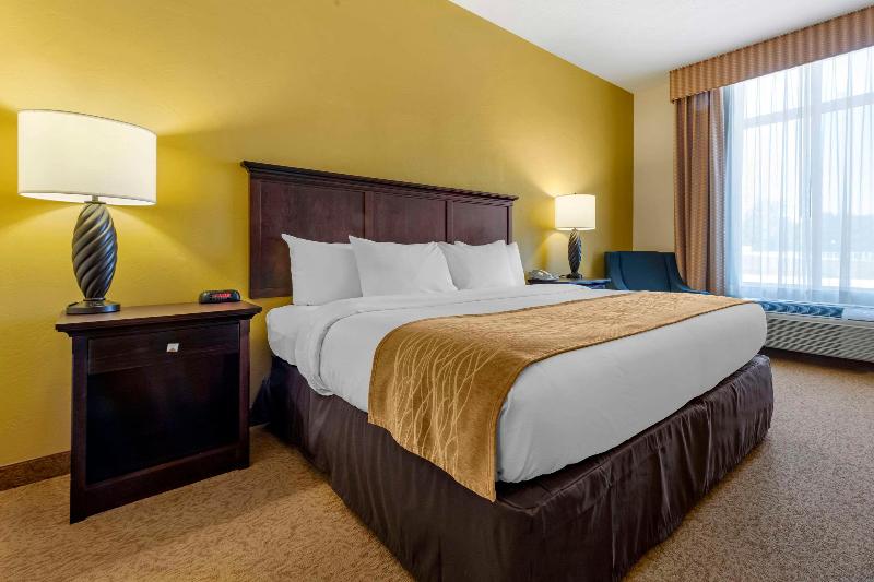 Comfort Inn Suites Dover image
