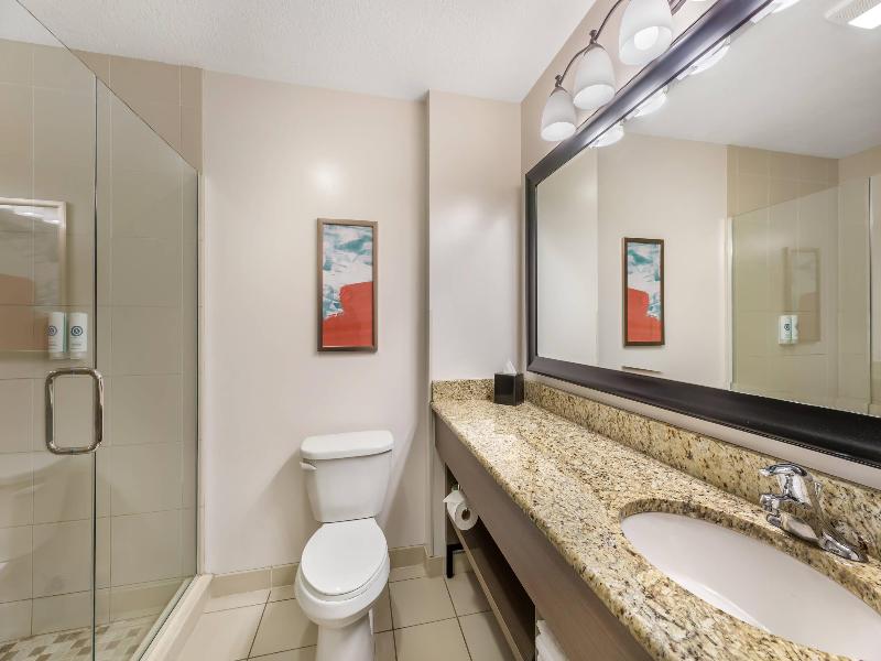 Comfort Inn Suites Dover image