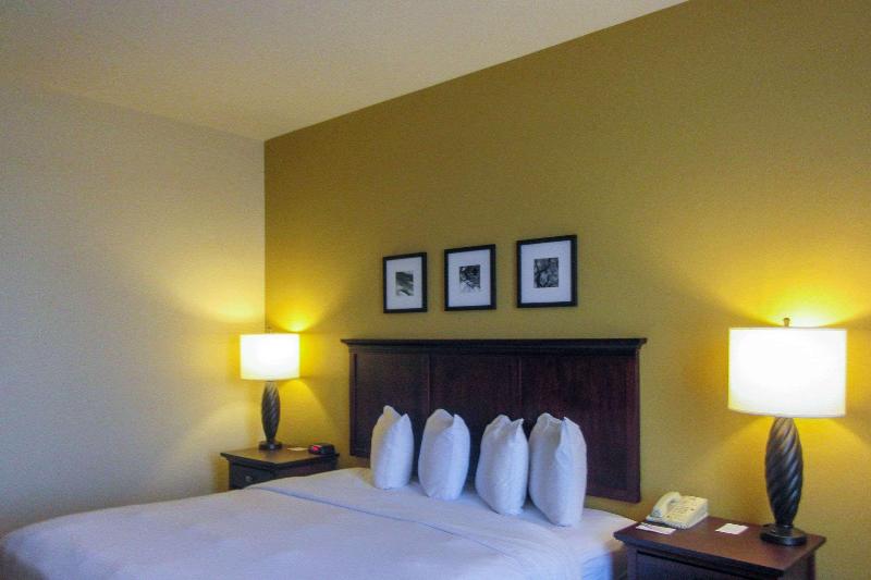 Comfort Inn Suites Dover image