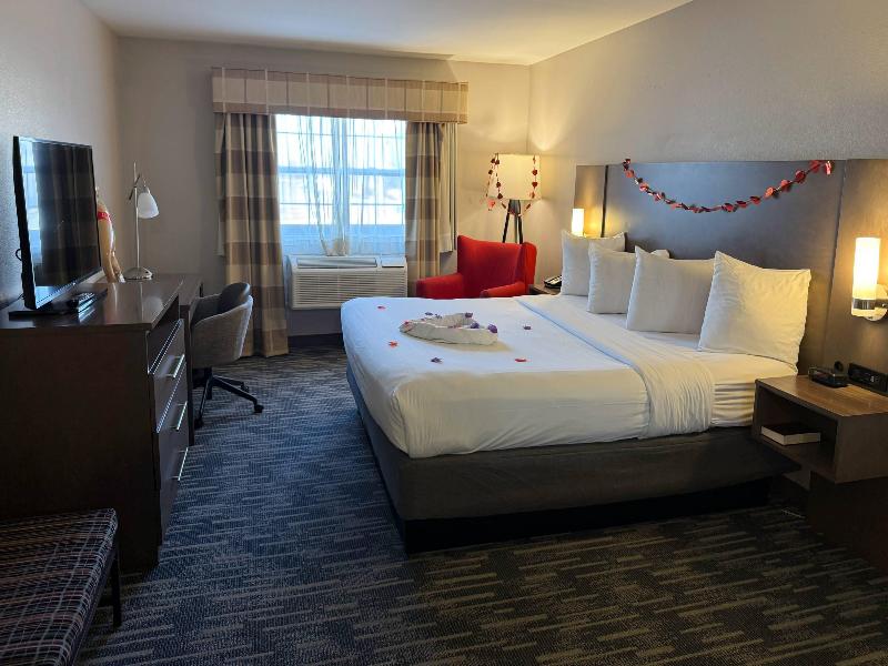 Country Inn Suites By Radisson Kenosha Wi image