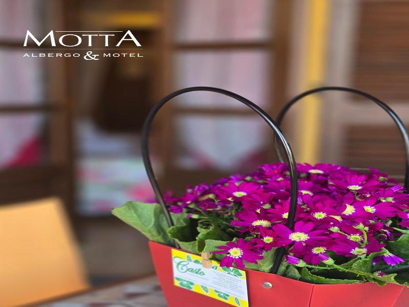 Mhotel Motta image