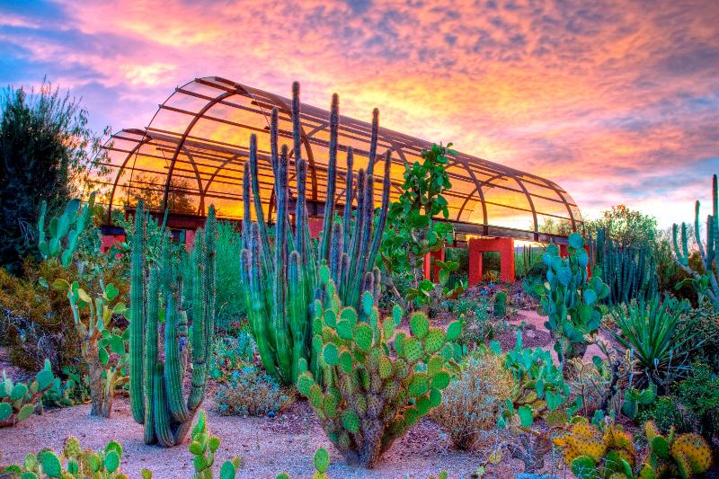 Holiday Inn Express & Suites Phoenix - Airport No image
