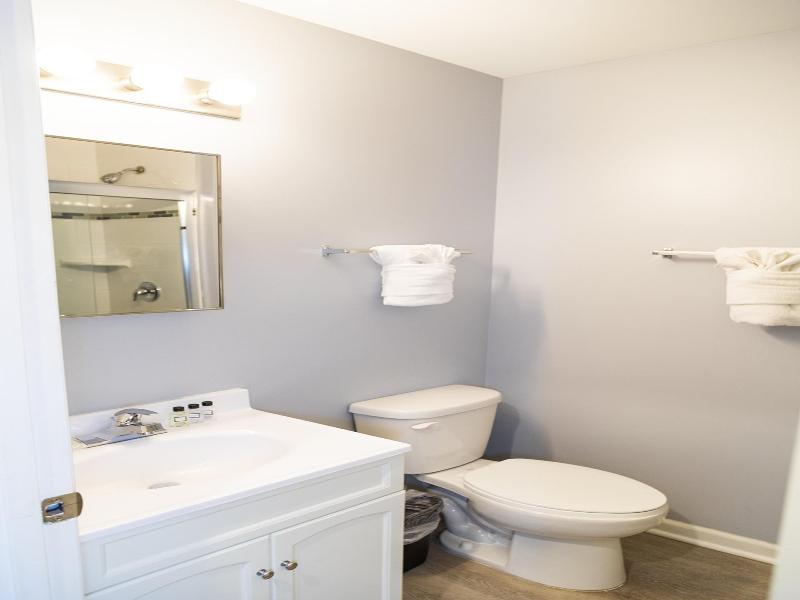 Hotel Chicago West Loop Surestay Collection By Bw image