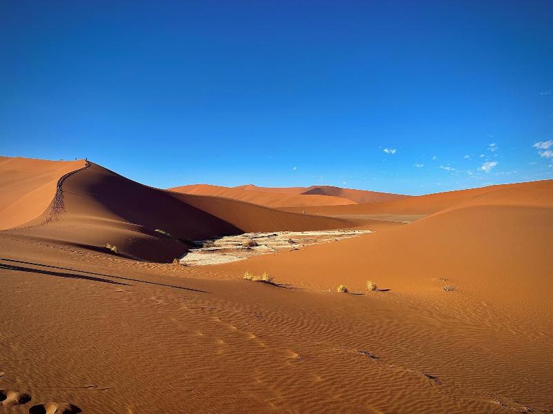 The Desert Grace image