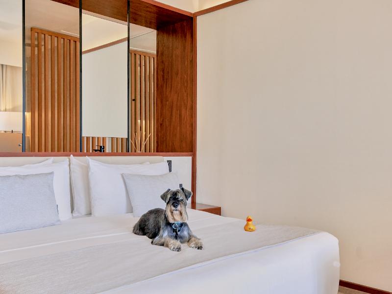 Live Aqua Beach Resort Punta Cana image