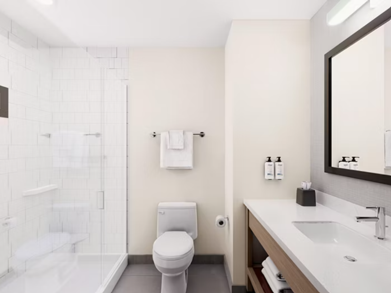Garner Hotel Birch Run - Frankenmuth Area by IHG image