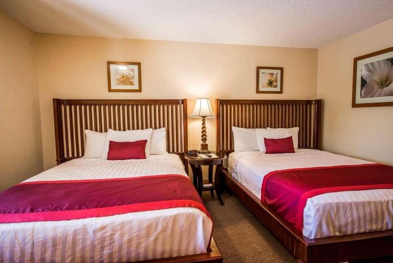 Bed room