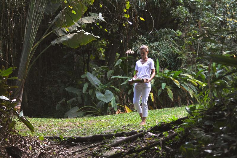 Belle Mont Sanctuary Resort image