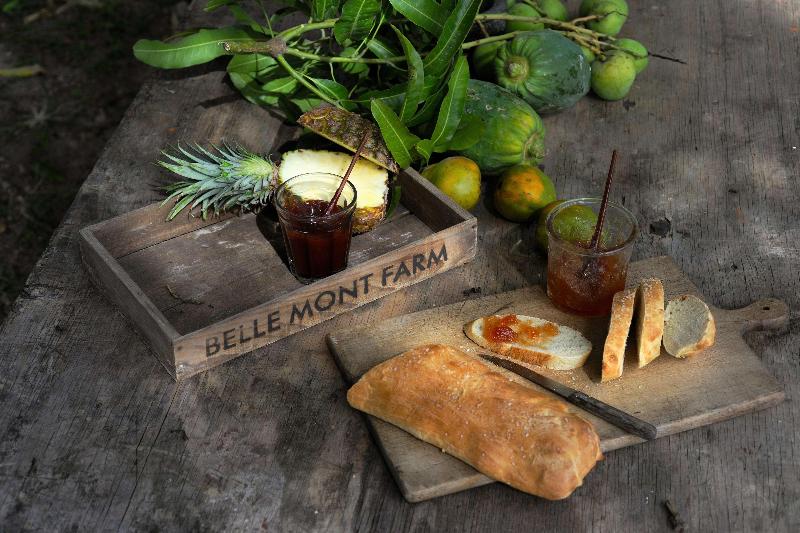 Belle Mont Sanctuary Resort image