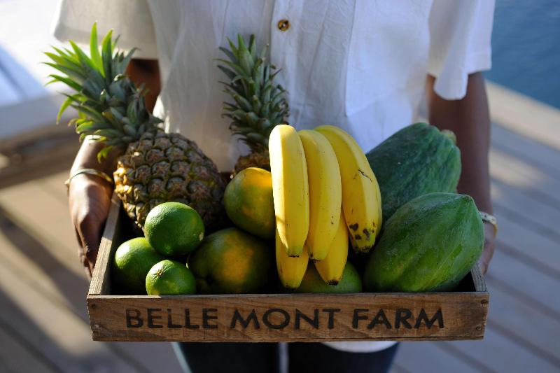 Belle Mont Sanctuary Resort image