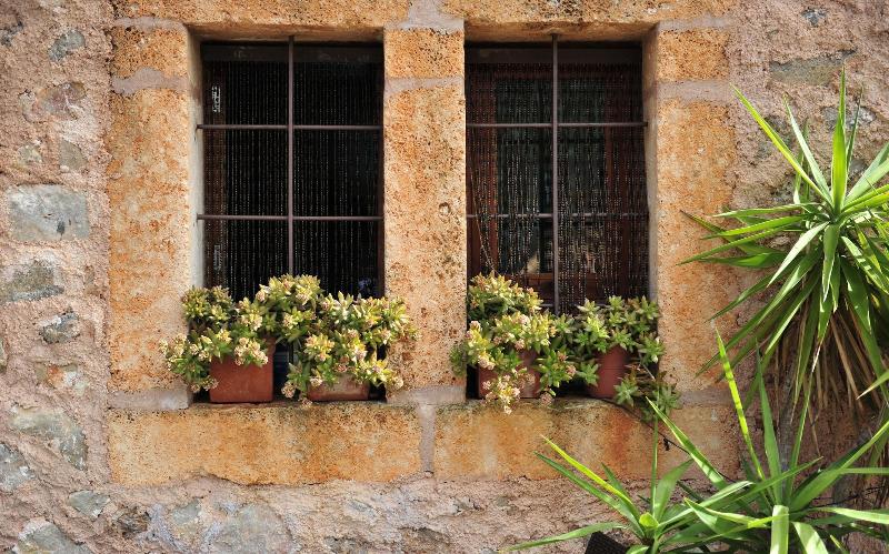 Finca Ses Cases Noves image