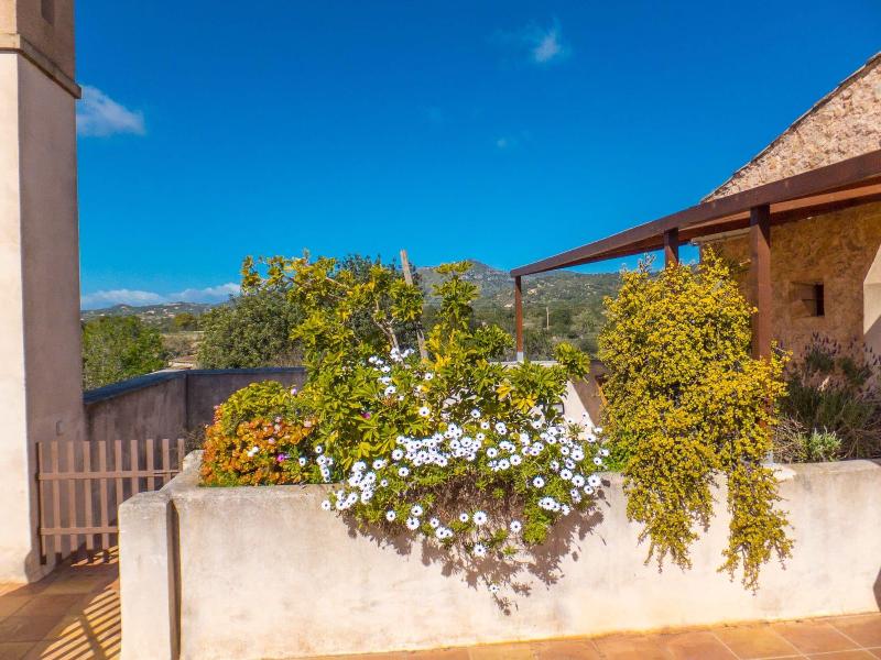 Finca Ses Cases Noves image