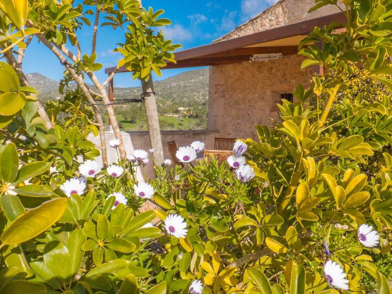 Finca Ses Cases Noves image