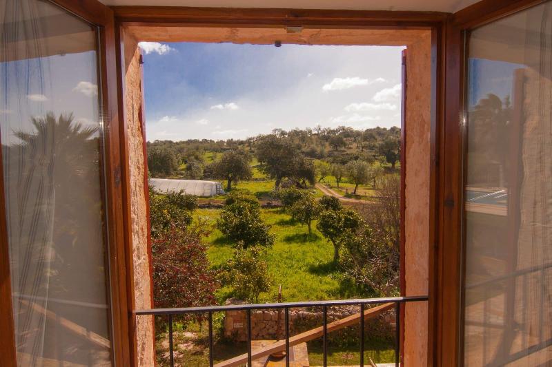 Finca Ses Cases Noves image