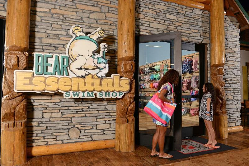 Great Wolf Lodge Colorado Springs image