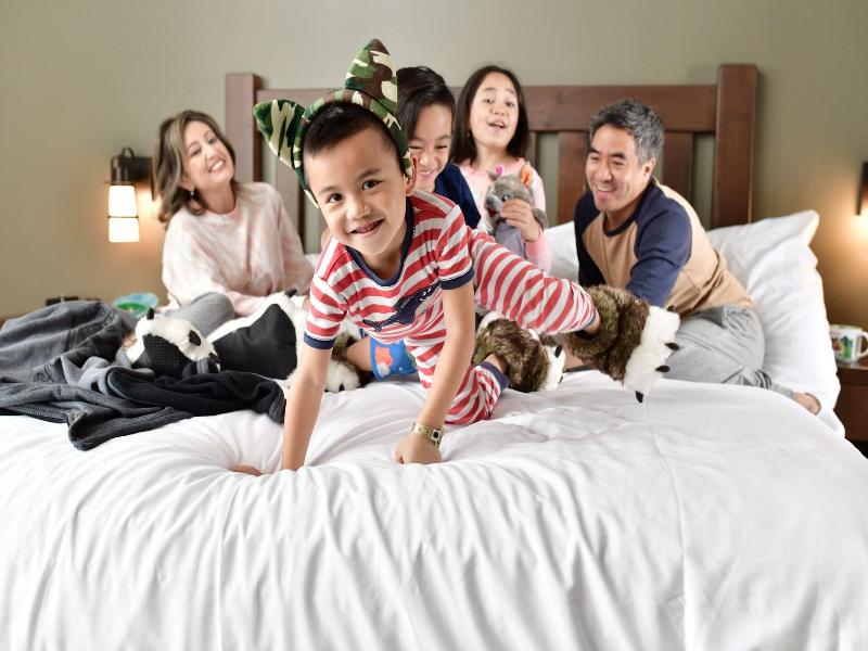 Great Wolf Lodge Gurnee image