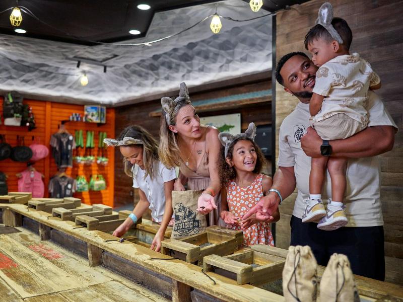 Great Wolf Lodge Gurnee image