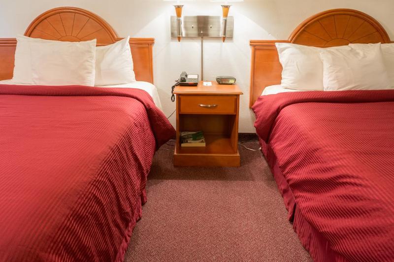 Guesthouse Fife image
