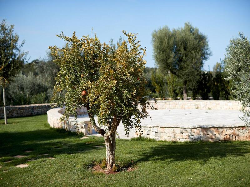 Masseria Grieco image