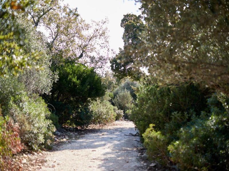 Masseria Grieco image