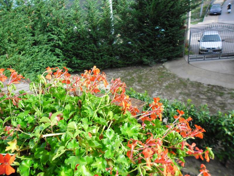 B&B Casale del Borgo image