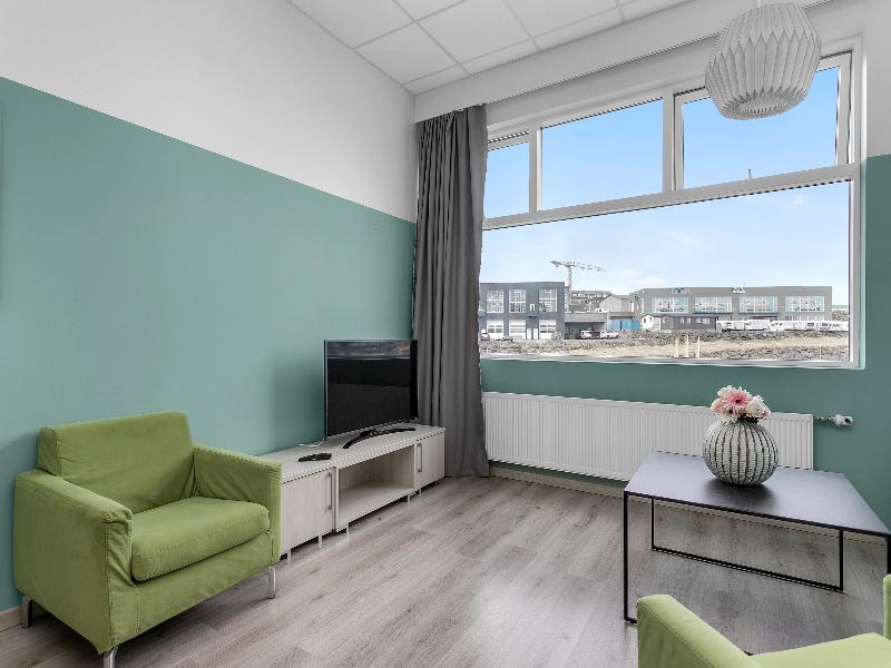 Icelandic Apartments image