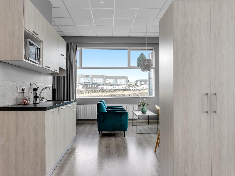 Icelandic Apartments image