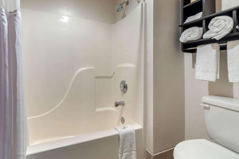 Quality Inn Suites South Fork image