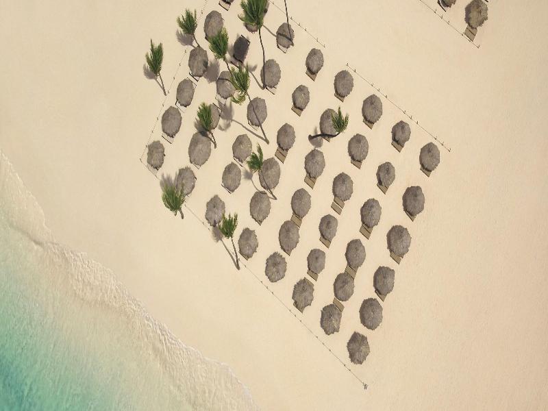 Paradisus Grand Cana - All Suites image