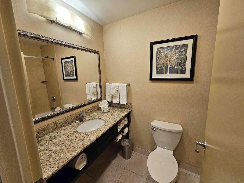 Radisson Hotel Freehold image