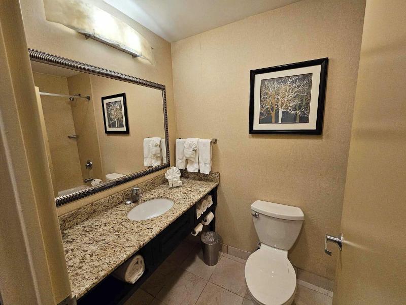 Radisson Hotel Freehold image