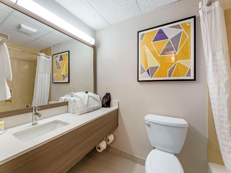 Comfort Inn & Suites Cuyahoga Falls - Akron image