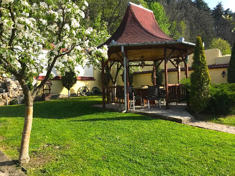 Cristina Rasnov image
