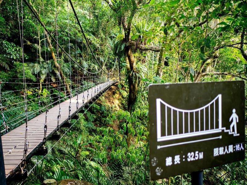 Great Roots Forestry Spa Resort image