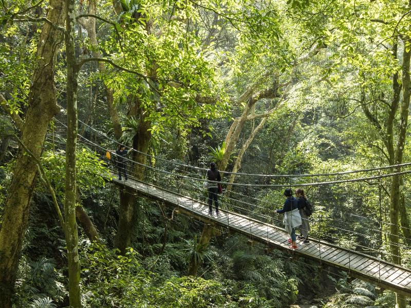 Great Roots Forestry Spa Resort image
