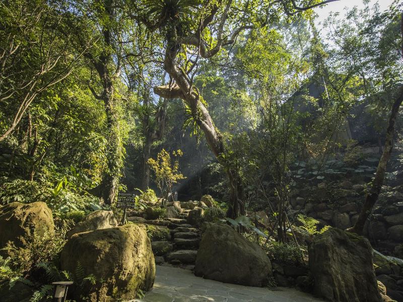 Great Roots Forestry Spa Resort image
