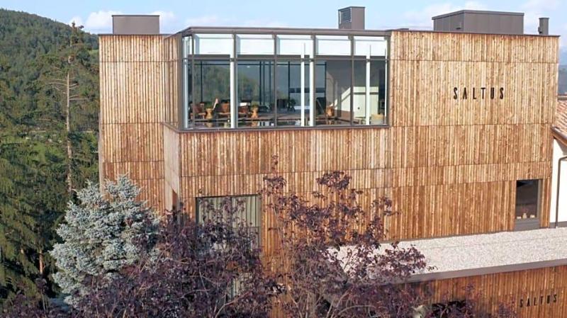 Hotel Saltus image