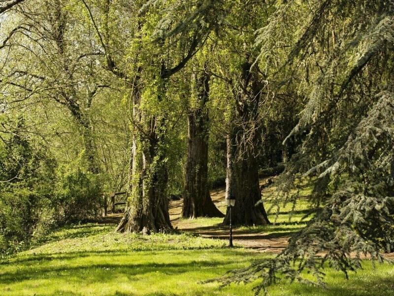 Chateau Laroche-Ploquin image