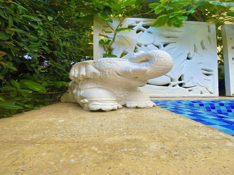 Summer House San Andres Posada Turistica image