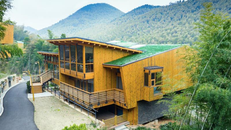 Adagio Tea Village Star Valley — main photo