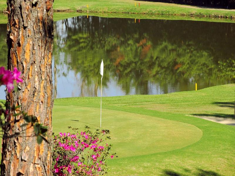Hotel & Golfe Clube Dos 500 image
