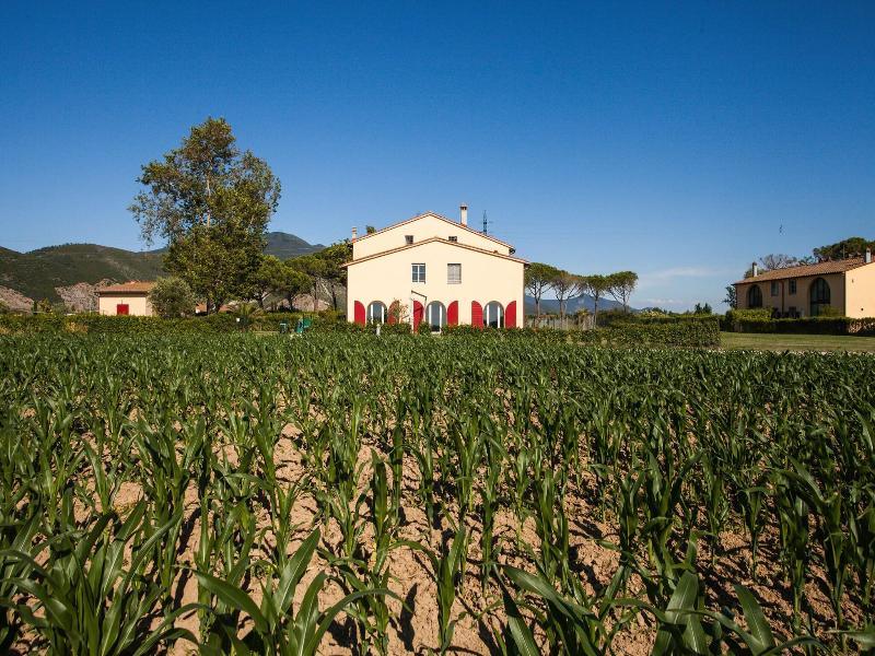 B&B Canova image
