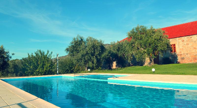 Thumbnail 110