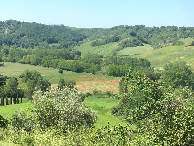 Laticastelli Country Relais image