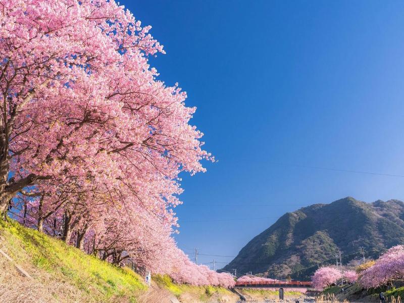 Kanpo no Yado Atami image