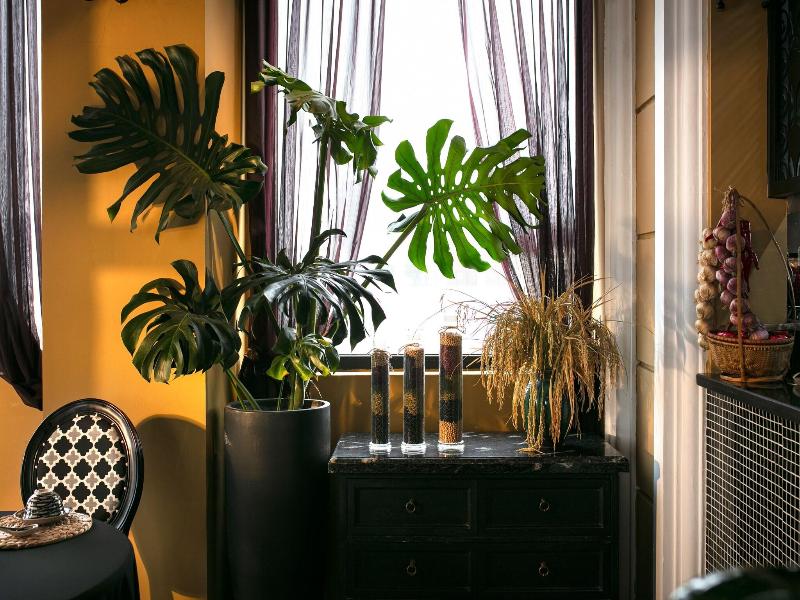 JM Marvel Hotel & Spa image