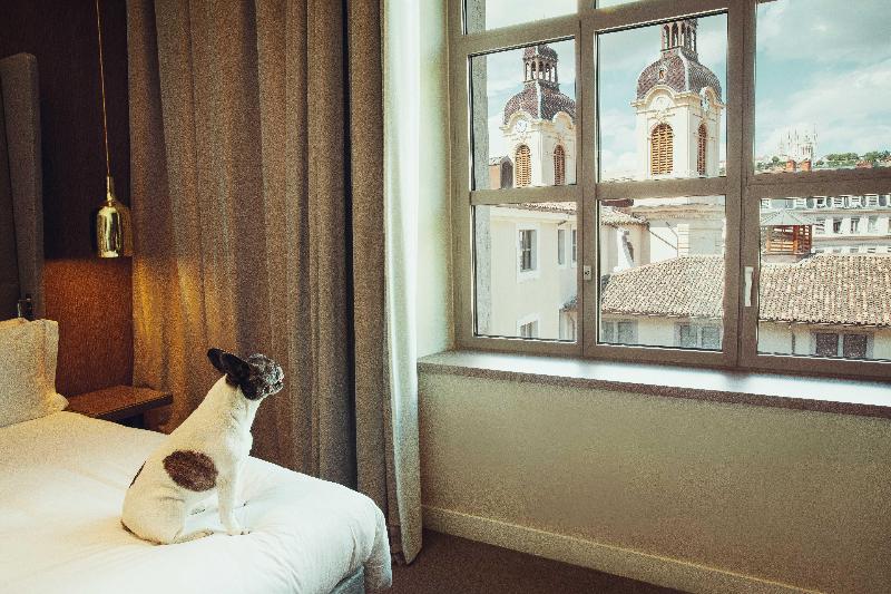 InterContinental Lyon - Hotel Dieu image